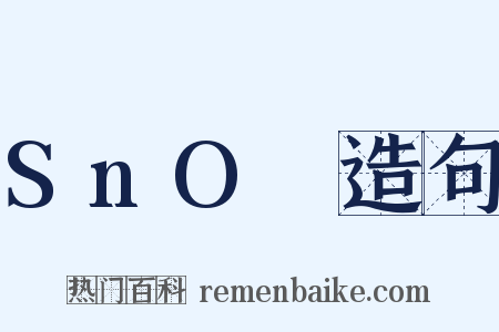 SnO₂造句是什么意思的图片